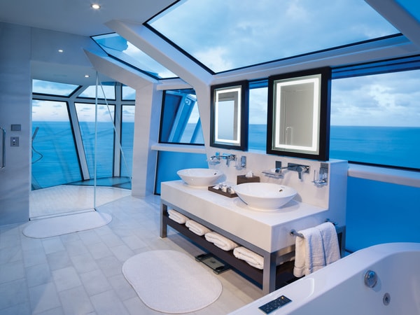 Celebrity Reflection